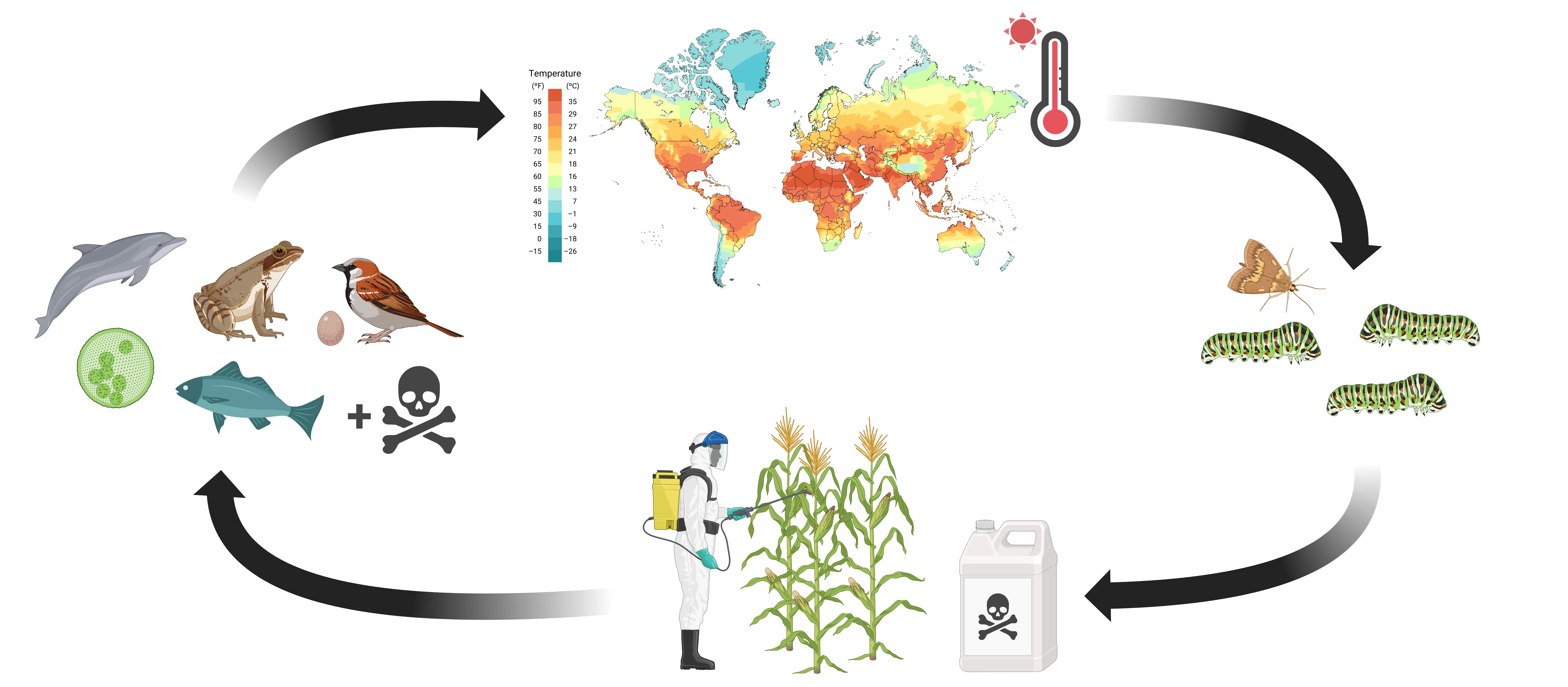 Cycle of climate and farming